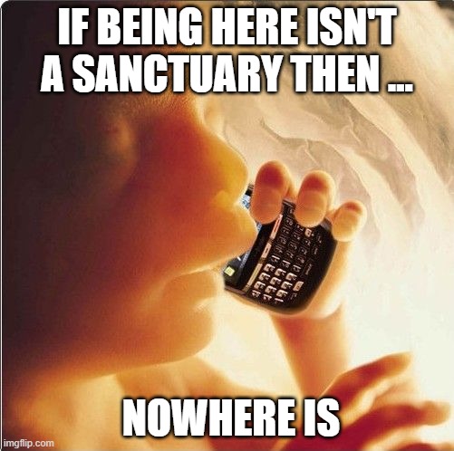 Baby in womb on cell phone - fetus blackberry |  IF BEING HERE ISN'T A SANCTUARY THEN ... NOWHERE IS | image tagged in baby in womb on cell phone - fetus blackberry | made w/ Imgflip meme maker