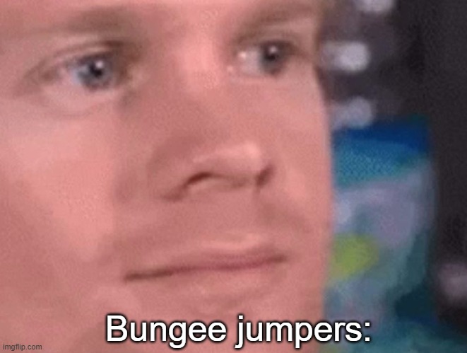 Bungee jumpers: | made w/ Imgflip meme maker