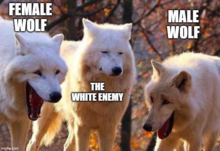 Laughing wolf | FEMALE WOLF THE WHITE ENEMY MALE WOLF | image tagged in laughing wolf | made w/ Imgflip meme maker