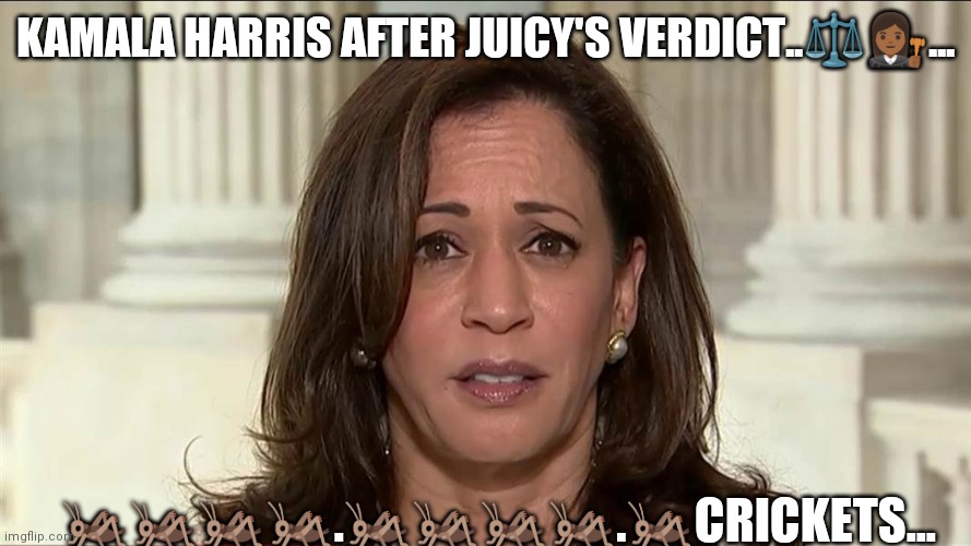 Kamala crickets...?? | KAMALA HARRIS AFTER JUICY'S VERDICT..⚖️👩🏾‍⚖️... 🦗🦗🦗🦗.🦗🦗🦗🦗.🦗CRICKETS... | image tagged in kamala harris,jussie smollett | made w/ Imgflip meme maker