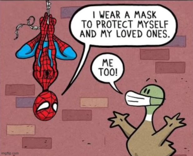 image tagged in comics,spiderman,coronavirus,face mask | made w/ Imgflip meme maker