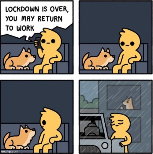 the poor dog is going to miss him ;( | image tagged in comics | made w/ Imgflip meme maker