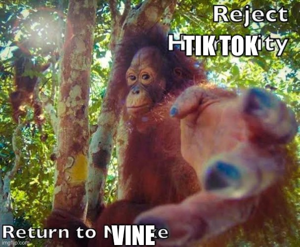 Return to monke | TIK TOK VINE | image tagged in return to monke | made w/ Imgflip meme maker