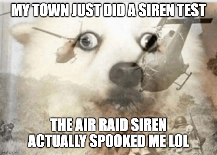 Yeah. | MY TOWN JUST DID A SIREN TEST; THE AIR RAID SIREN ACTUALLY SPOOKED ME LOL | image tagged in ptsd dog | made w/ Imgflip meme maker