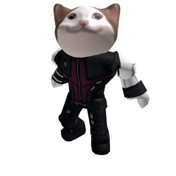 Roblox Nikitunc [Cat-Hawkeye] Blank Meme Template