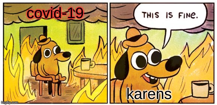 ._. | covid-19; karens | image tagged in memes,this is fine | made w/ Imgflip meme maker