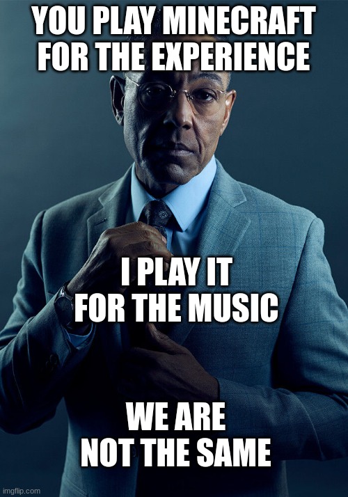 Gus Fring we are not the same | YOU PLAY MINECRAFT FOR THE EXPERIENCE; I PLAY IT FOR THE MUSIC; WE ARE NOT THE SAME | image tagged in gus fring we are not the same,minecraft | made w/ Imgflip meme maker