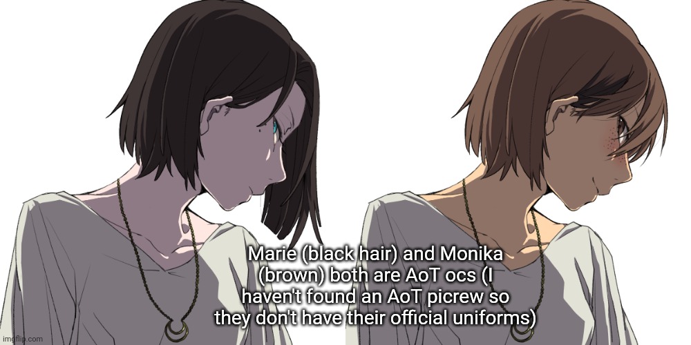 Marie (black hair) and Monika (brown) both are AoT ocs (I haven't found an AoT picrew so they don't have their official uniforms) | made w/ Imgflip meme maker