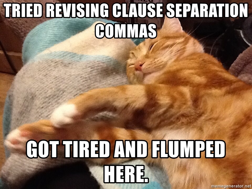 High Quality Sleepy grammar cat Blank Meme Template