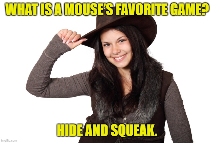 Beautiful Girl Smiling Craziness | WHAT IS A MOUSE’S FAVORITE GAME? HIDE AND SQUEAK. | image tagged in beautiful girl smiling craziness | made w/ Imgflip meme maker