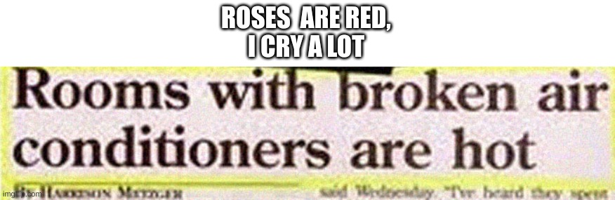 who whould of guessed | ROSES  ARE RED,
I CRY A LOT | image tagged in dumb news | made w/ Imgflip meme maker
