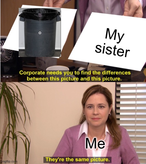 They're The Same Picture Meme | My sister; Me | image tagged in memes,they're the same picture | made w/ Imgflip meme maker