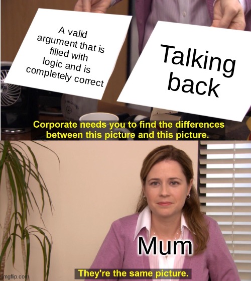 Ah yes, a relatable meme. | A valid argument that is filled with logic and is completely correct; Talking back; Mum | image tagged in memes,they're the same picture,no boomer memes | made w/ Imgflip meme maker