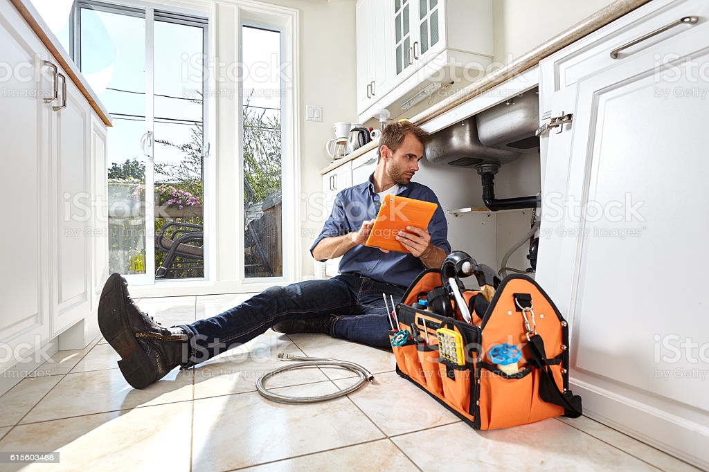 Manis plumer Blank Meme Template