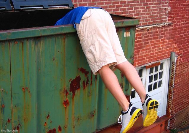 Dumpster Dive | image tagged in dumpster dive | made w/ Imgflip meme maker