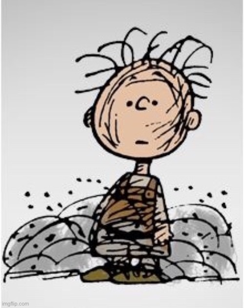 Pig Pen | image tagged in pig pen | made w/ Imgflip meme maker