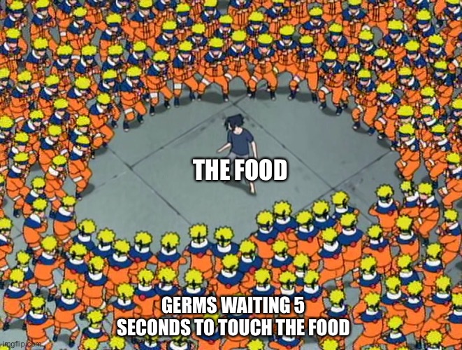 GERMS WAITING 5 SECONDS TO TOUCH THE FOOD THE FOOD | made w/ Imgflip meme maker
