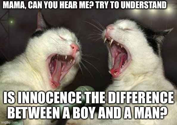 singing cats | MAMA, CAN YOU HEAR ME? TRY TO UNDERSTAND IS INNOCENCE THE DIFFERENCE BETWEEN A BOY AND A MAN? | image tagged in singing cats | made w/ Imgflip meme maker