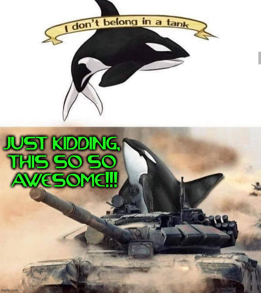 Killer whale of a meme | JUST KIDDING, 
THIS SO SO 
AWESOME!!! | image tagged in killer whale,tanks | made w/ Imgflip meme maker