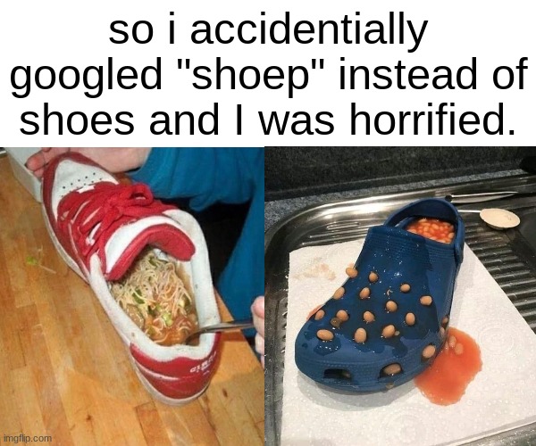 ramen shoe | so i accidentially googled "shoep" instead of shoes and I was horrified. | image tagged in memes,funny memes,funny | made w/ Imgflip meme maker