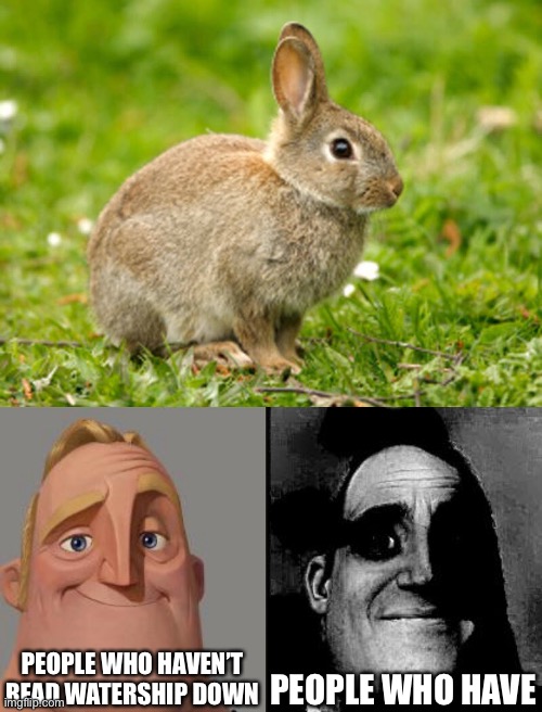 Rabbits are hardcore |  PEOPLE WHO HAVEN’T READ WATERSHIP DOWN; PEOPLE WHO HAVE | image tagged in traumatized mr incredible,watership down,rabbit,literature | made w/ Imgflip meme maker