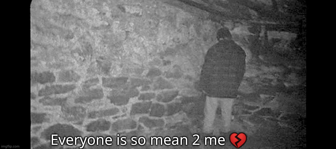 Blair Witch Project | Everyone is so mean 2 me 💔 | image tagged in blair witch project | made w/ Imgflip meme maker