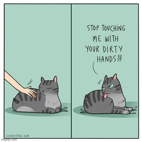 A Cat's Way Of Thinking | image tagged in memes,comics,cats,don't,touch,dirty | made w/ Imgflip meme maker