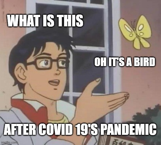 after covid 29 pandemic belike... | WHAT IS THIS; OH IT'S A BIRD; AFTER COVID 19'S PANDEMIC | image tagged in memes,is this a pigeon | made w/ Imgflip meme maker
