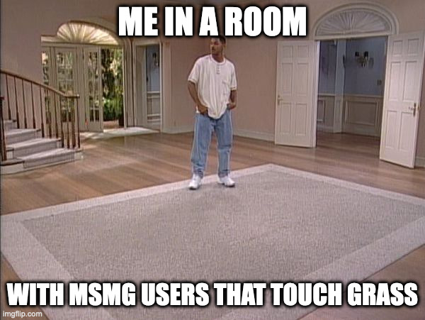 Will Smith empty room | ME IN A ROOM; WITH MSMG USERS THAT TOUCH GRASS | image tagged in will smith empty room | made w/ Imgflip meme maker