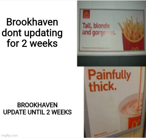 Tall Blonde And Gorgeous, PAINFULLY THICK | Brookhaven dont updating for 2 weeks; BROOKHAVEN UPDATE UNTIL 2 WEEKS | image tagged in tall blonde and gorgeous painfully thick,haha mod tags go brrrr | made w/ Imgflip meme maker