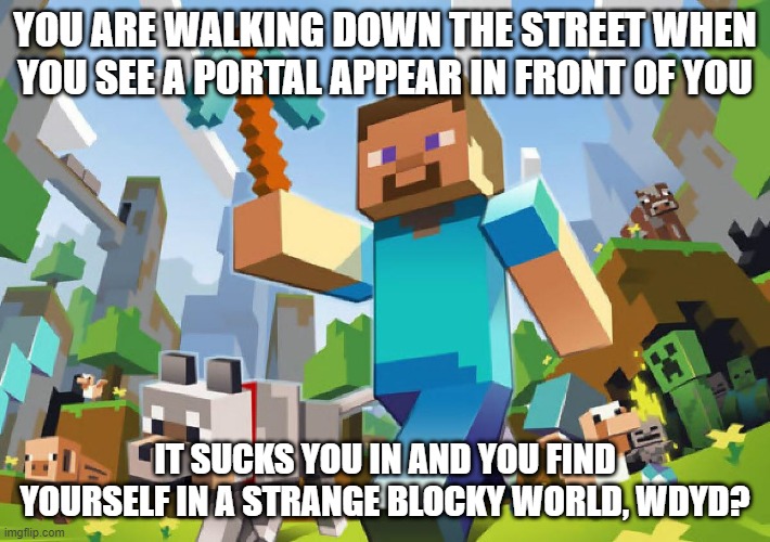 my first RP I've hosted! | YOU ARE WALKING DOWN THE STREET WHEN YOU SEE A PORTAL APPEAR IN FRONT OF YOU; IT SUCKS YOU IN AND YOU FIND YOURSELF IN A STRANGE BLOCKY WORLD, WDYD? | image tagged in minecraft | made w/ Imgflip meme maker