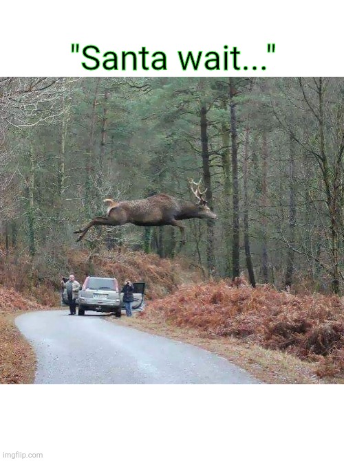 "Santa wait..." | image tagged in christmas,reindeer,santa | made w/ Imgflip meme maker