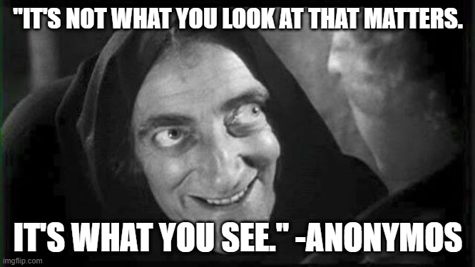 Marty Feldman | "IT'S NOT WHAT YOU LOOK AT THAT MATTERS. IT'S WHAT YOU SEE." -ANONYMOS | image tagged in marty feldman | made w/ Imgflip meme maker