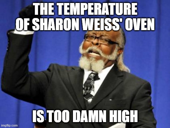 Oven is too hot | THE TEMPERATURE OF SHARON WEISS' OVEN; IS TOO DAMN HIGH | image tagged in memes,too damn high,sharon weiss,oven,marie callender's | made w/ Imgflip meme maker