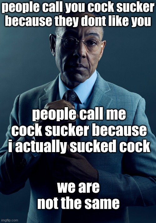 gus fring | people call you cock sucker because they dont like you; people call me cock sucker because i actually sucked cock; we are not the same | image tagged in gus fring we are not the same | made w/ Imgflip meme maker