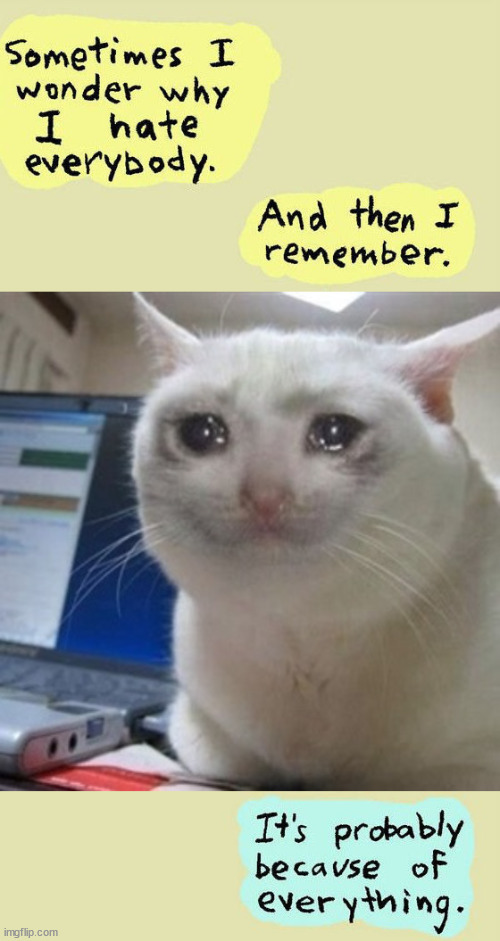 image tagged in crying cat | made w/ Imgflip meme maker