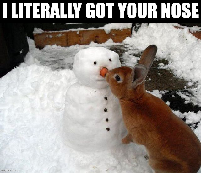  I LITERALLY GOT YOUR NOSE | image tagged in bunny | made w/ Imgflip meme maker