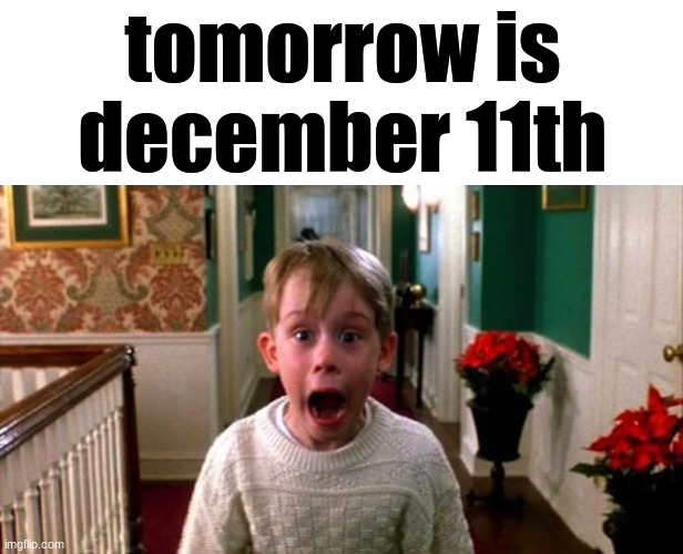 11rst | tomorrow is december 11th | image tagged in kevin home alone | made w/ Imgflip meme maker