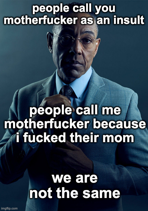 Gus Fring we are not the same | people call you motherfucker as an insult; people call me motherfucker because i fucked their mom; we are not the same | image tagged in gus fring we are not the same | made w/ Imgflip meme maker