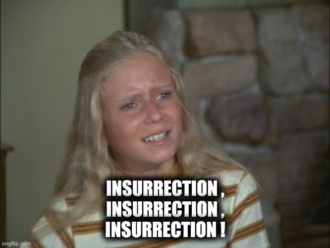 marcia marcia marcia | INSURRECTION ,
INSURRECTION ,
INSURRECTION ! | image tagged in marcia marcia marcia | made w/ Imgflip meme maker