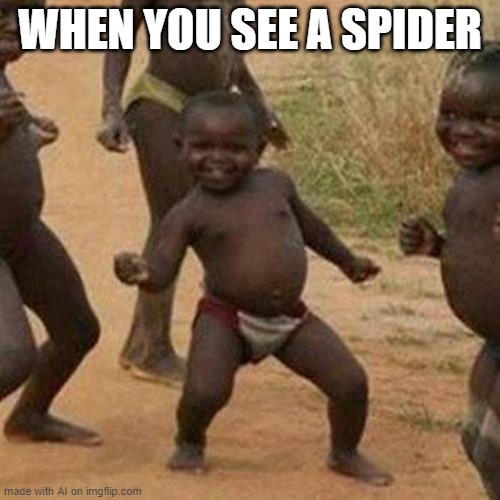 haha spiders are so cool they make me D A N C E | WHEN YOU SEE A SPIDER | image tagged in memes,third world success kid | made w/ Imgflip meme maker