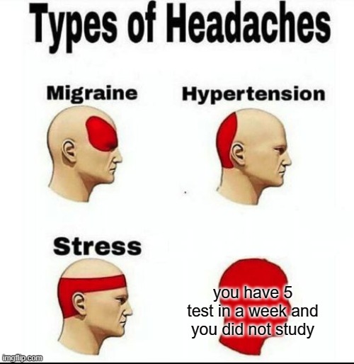 tests | you have 5 test in a week and you did not study | image tagged in types of headaches meme | made w/ Imgflip meme maker