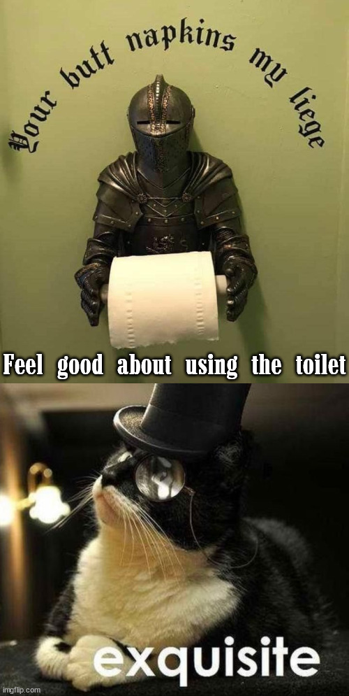Makes you feel just a little better. |  Feel good about using the toilet | image tagged in bathroom,toilet paper,exquisite,fancy | made w/ Imgflip meme maker