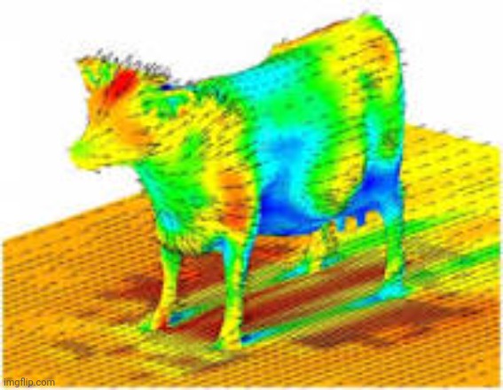 Aerodynamics of a cow | image tagged in aerodynamics of a cow | made w/ Imgflip meme maker