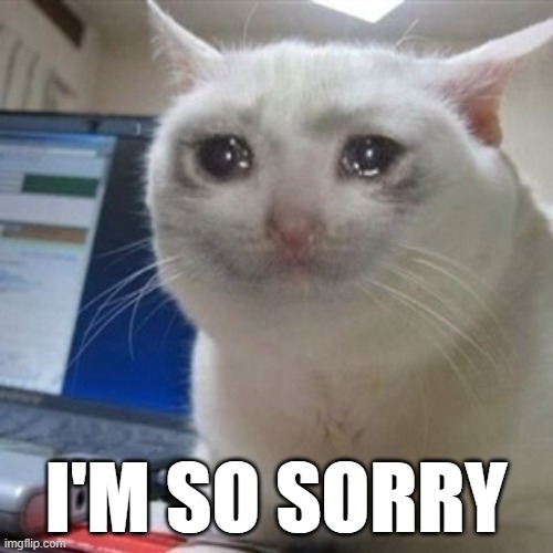 Crying cat | I'M SO SORRY | image tagged in crying cat | made w/ Imgflip meme maker