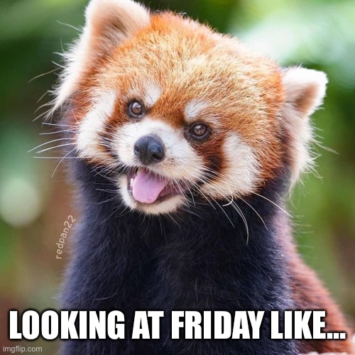 LOOKING AT FRIDAY LIKE… | image tagged in friday | made w/ Imgflip meme maker