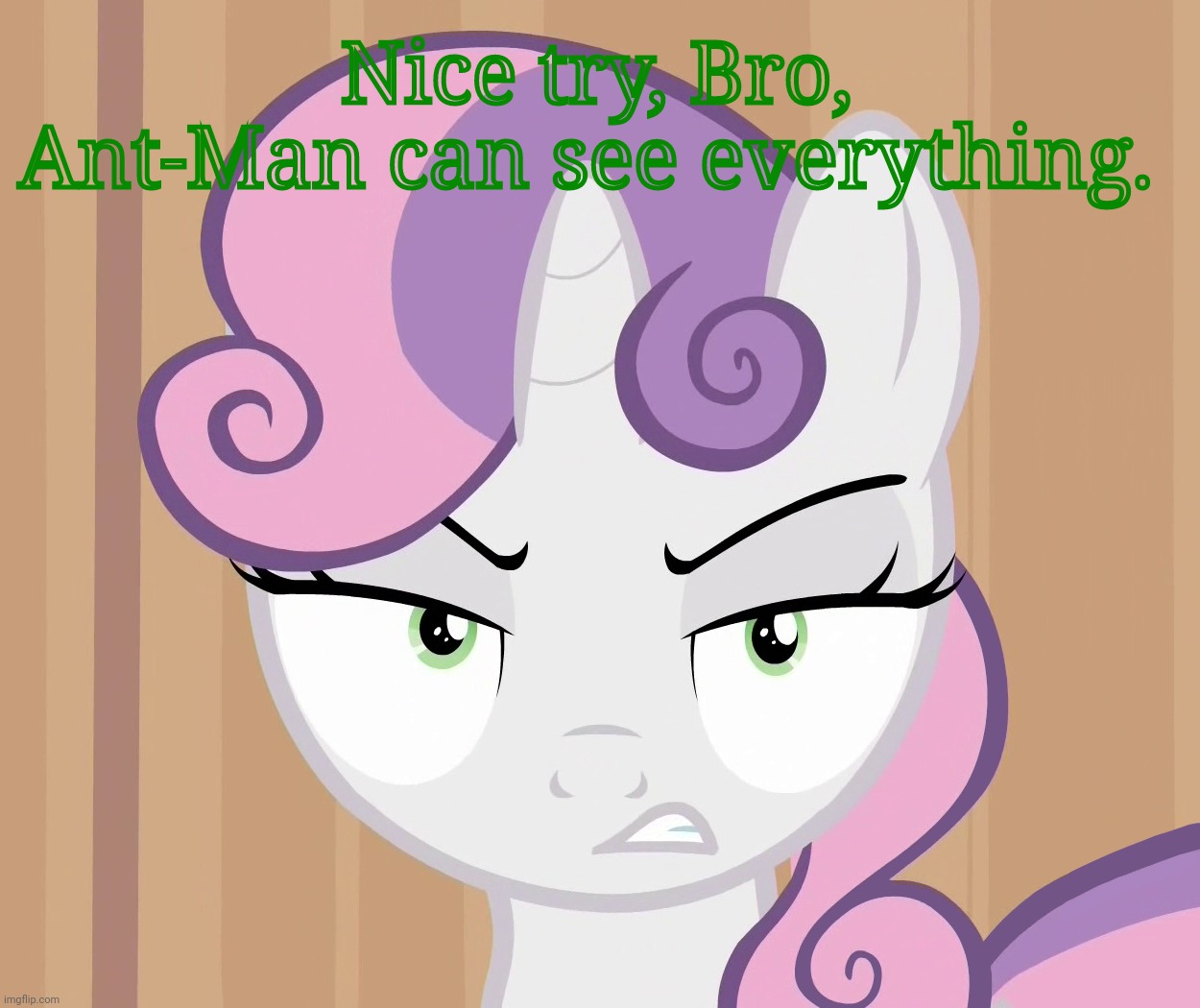 Glared Sweetie Belle (MLP) | Nice try, Bro, Ant-Man can see everything. | image tagged in glared sweetie belle mlp | made w/ Imgflip meme maker