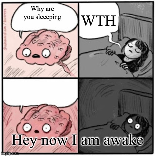 Brain Before Sleep | WTH; Why are you sleeeping; Hey now I am awake | image tagged in brain before sleep | made w/ Imgflip meme maker