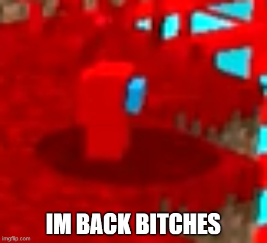 IM BACK BITCHES | made w/ Imgflip meme maker