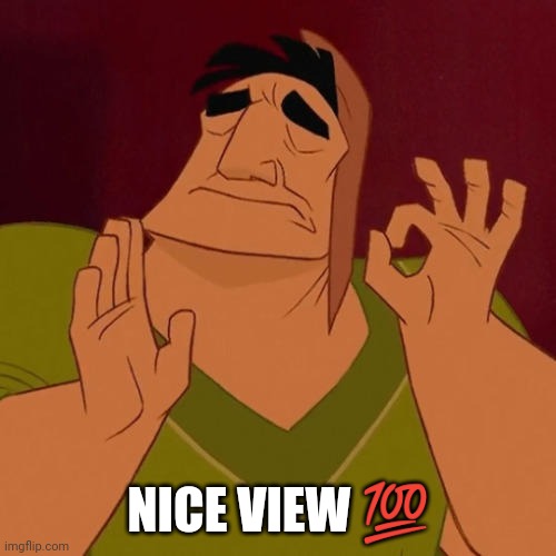 When X just right | NICE VIEW ? | image tagged in when x just right | made w/ Imgflip meme maker